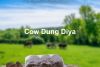 Cow Dung Deepam 