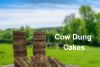 Organic Cow Dung Cake 