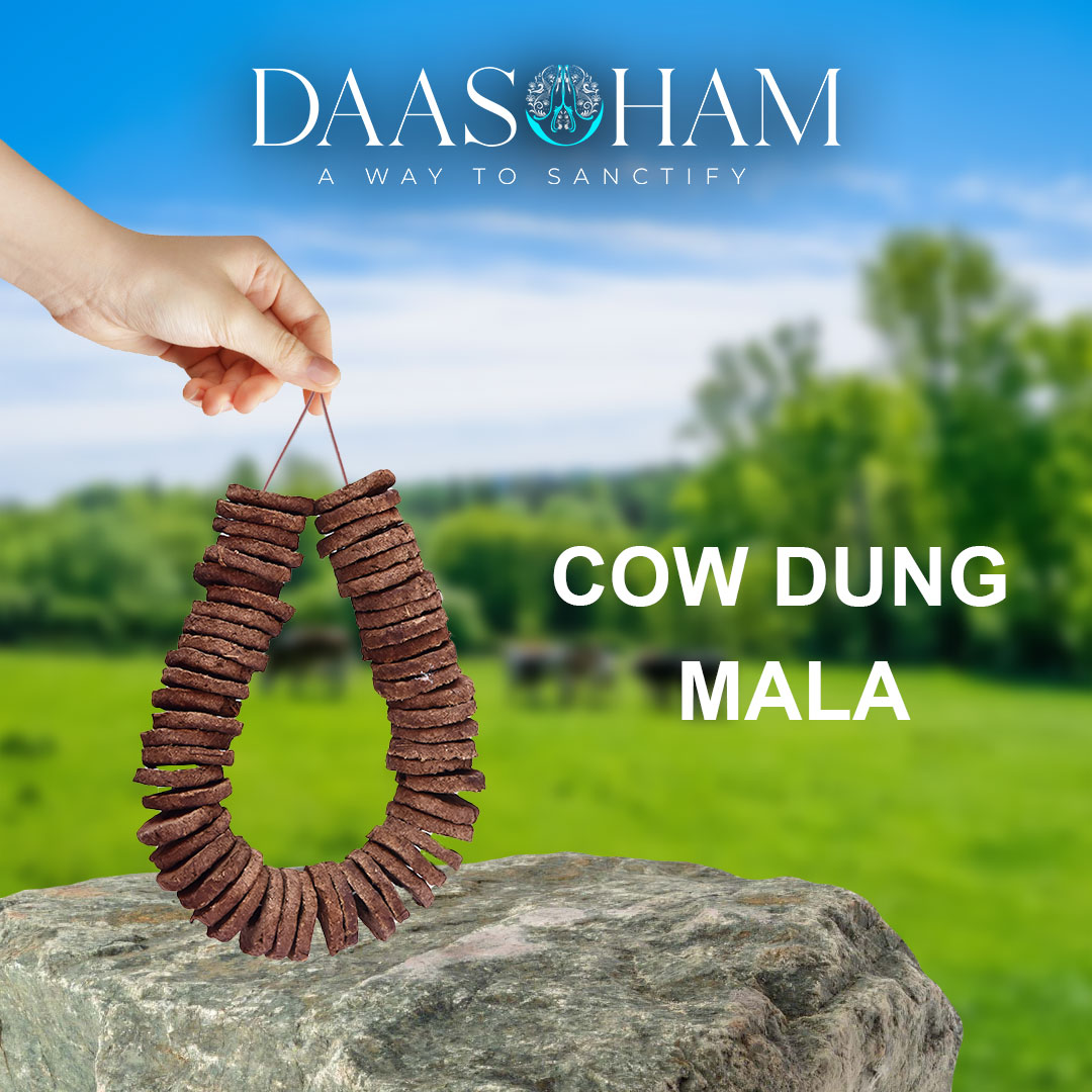 Organic Cow Dung For Agnihotra 