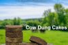 Cow Dung Diya Manufacturers 