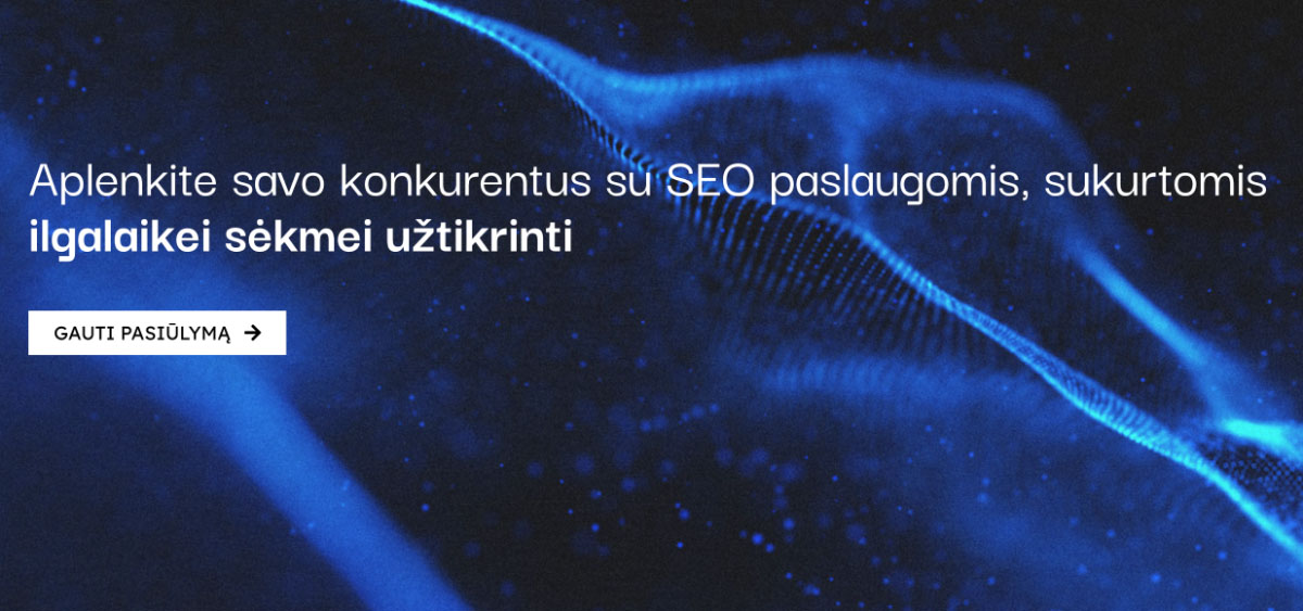 MTDigital.lt - skaitmeninio marketingo agentūros specializuotos SEO paslaugos